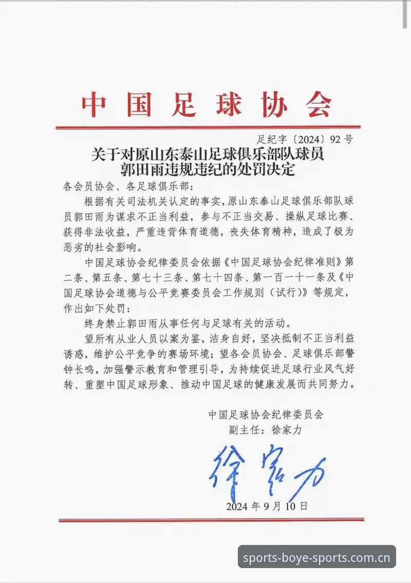 博业体育专业服务攻略 中国足协第三批禁足名单详解——65人受罚,17人终身禁赛